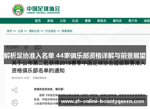 解析足协准入名单 44家俱乐部资格详解与前景展望