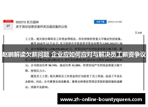 赵鹏解读欠薪问题 企业应如何应对与解决员工薪资争议